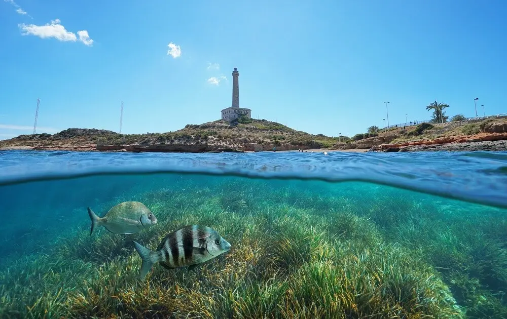 Cabo de Palos