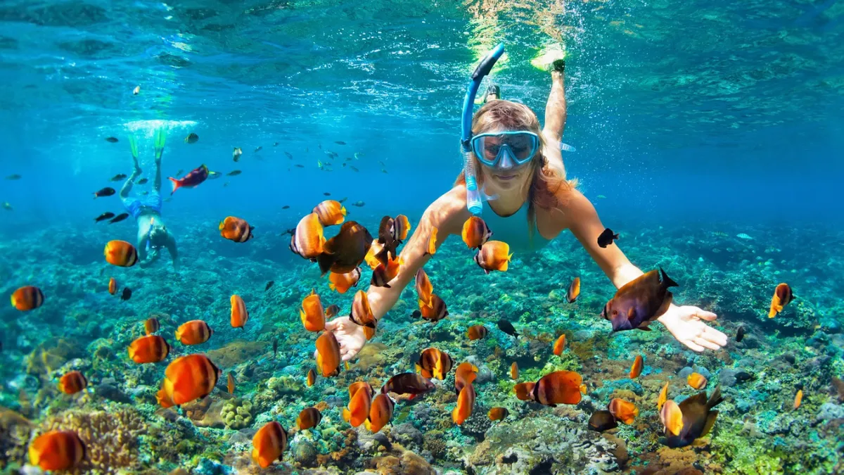 Nurkowanie i snorkeling